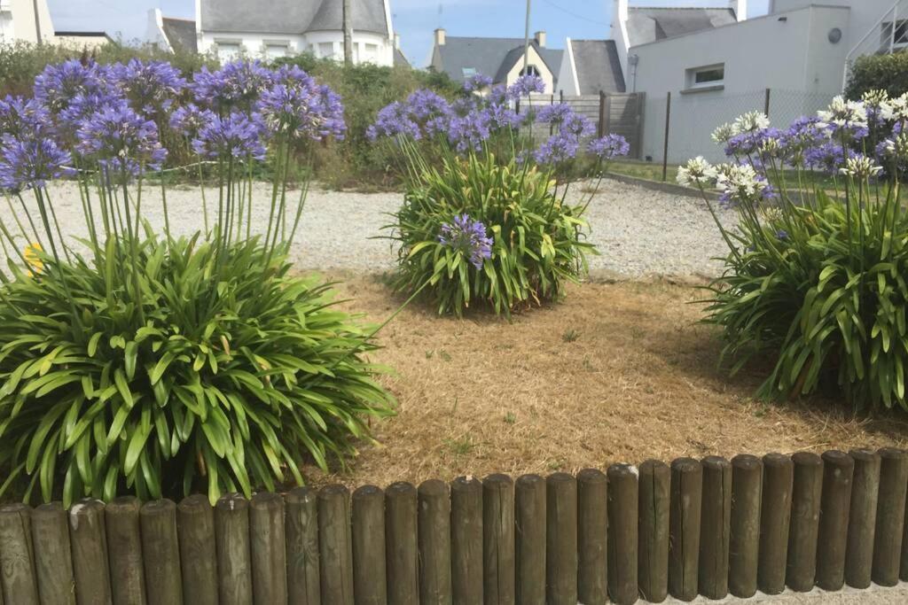 Pied A Terre Pour Des Vacances Au Bord De La Mer Le Conquet Kültér fotó
